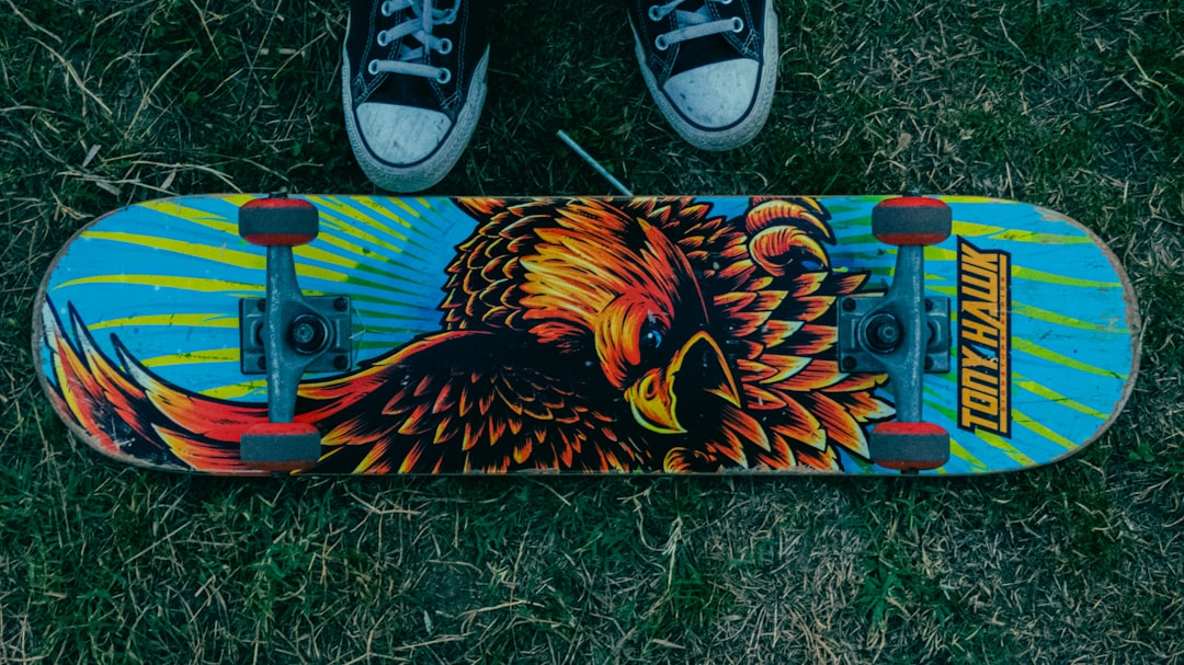 What kind of skateboard did Tony Hawk use? by Skateboard Brands a skateboard on the grass