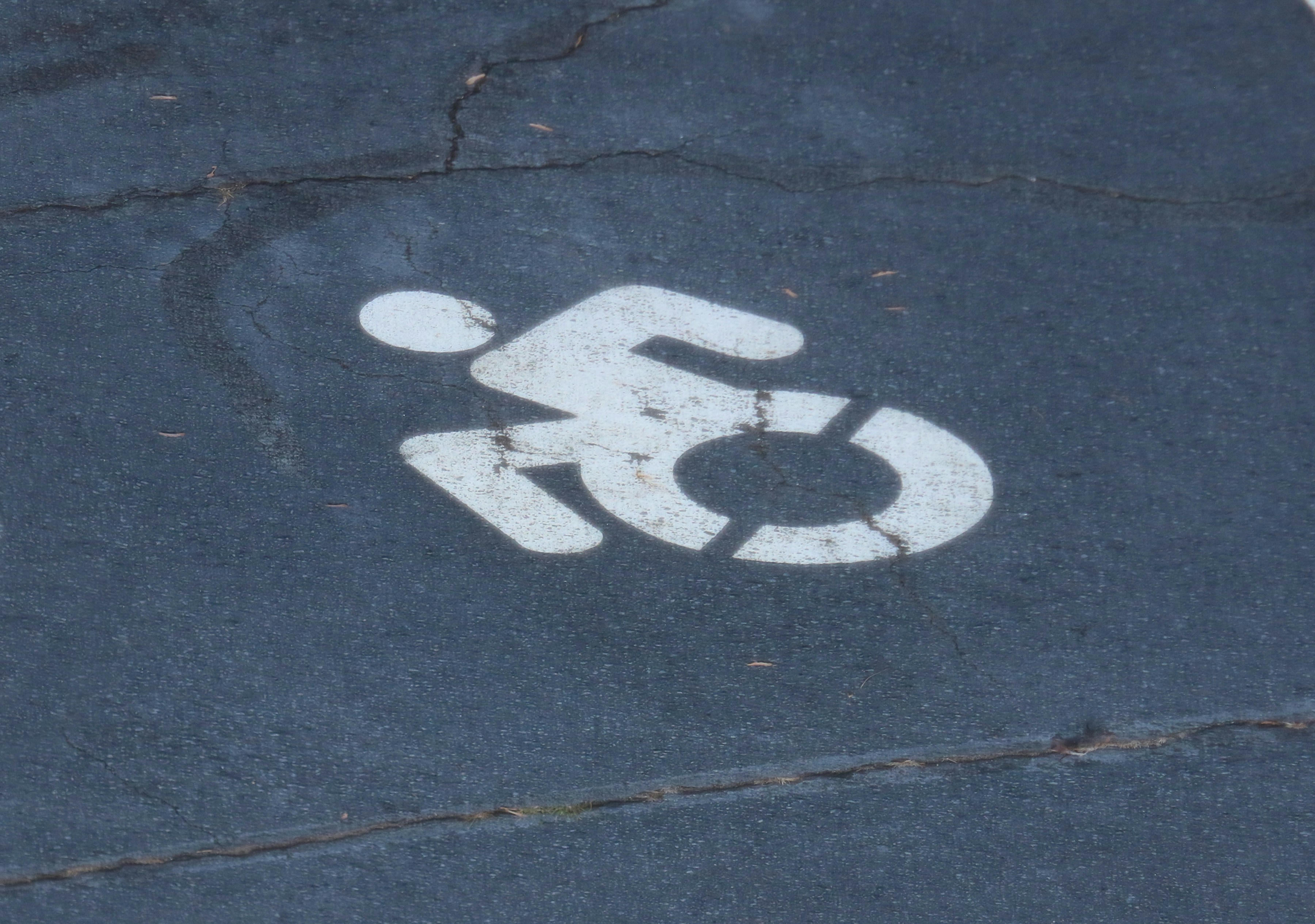🏁 Conclusion: Are Santa Cruz Skateboards and Bikes the Same Company? by Skateboard Brands A handicap sign painted on the pavement of a street
